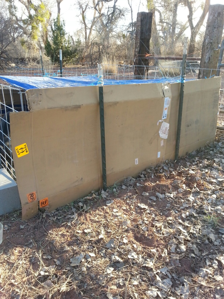 I needed to do some more renovations on their night pen so got busy -- the person I bought them from told me that they wouldn't push on fences if they couldn't see through them so, taking him at his word, I put cardboard between the hog panel and the fence posts to block their view (and the winds, etc.) 